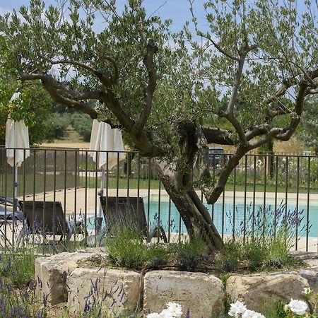 Domaine Du Mas Foucray Aparthotel Les Baux-de-Provence Eksteriør bilde