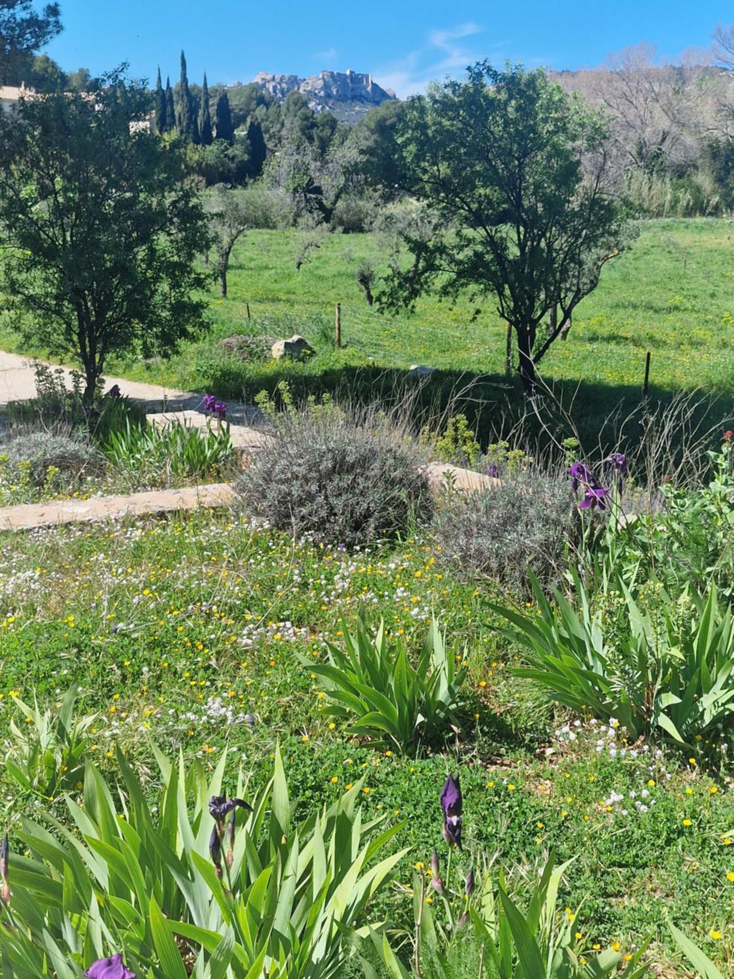 Domaine Du Mas Foucray Aparthotel Les Baux-de-Provence Eksteriør bilde